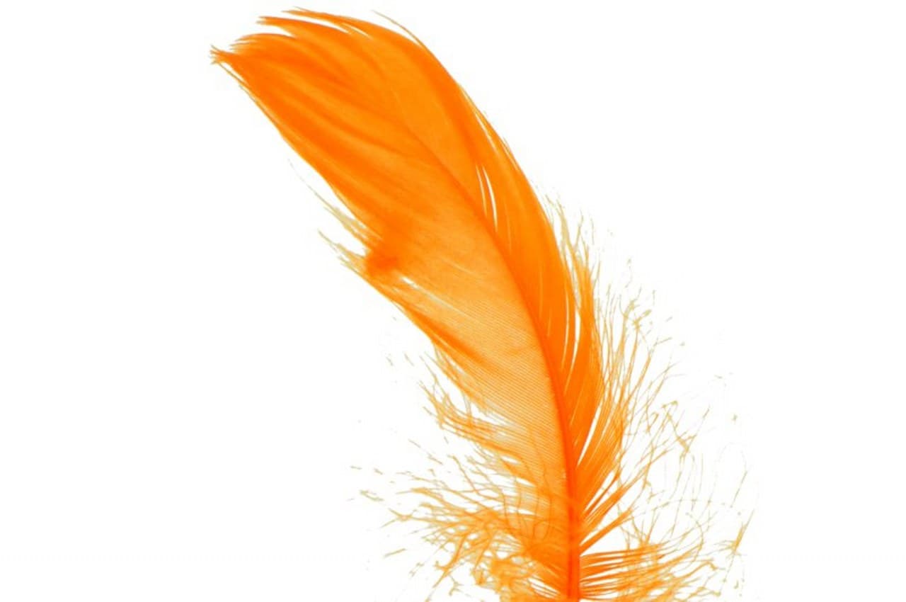 Piórka w torebce foliowej 15 gram, pomarańczowe