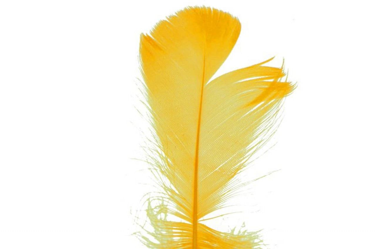 Piórka w torebce foliowej 15 gram, jajko