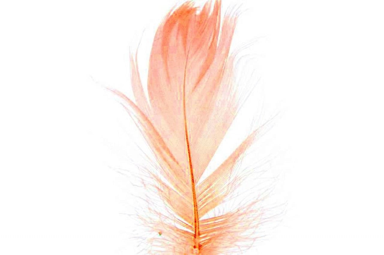 Piórka w torebce foliowej 15 gram, łososiowy