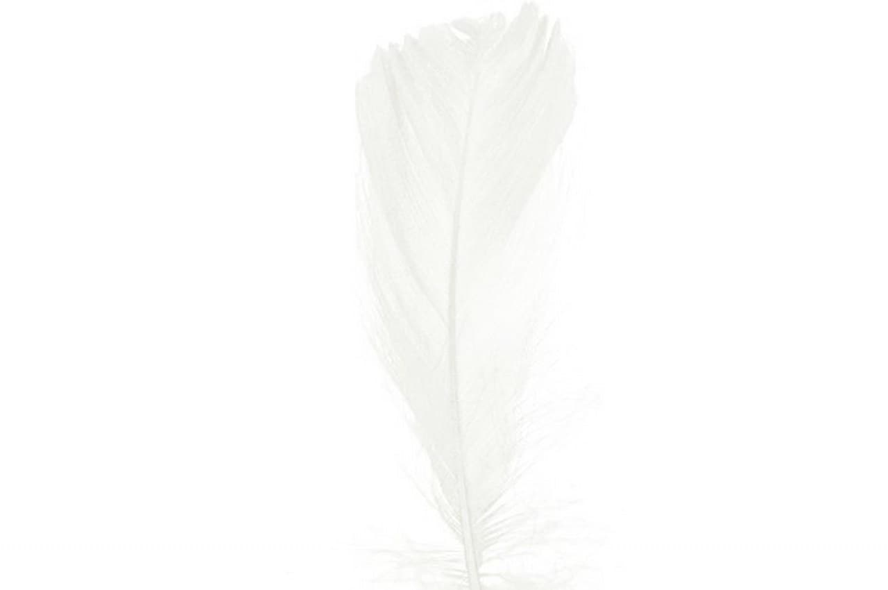 Piórka w torebce foliowej 15 gram, białe