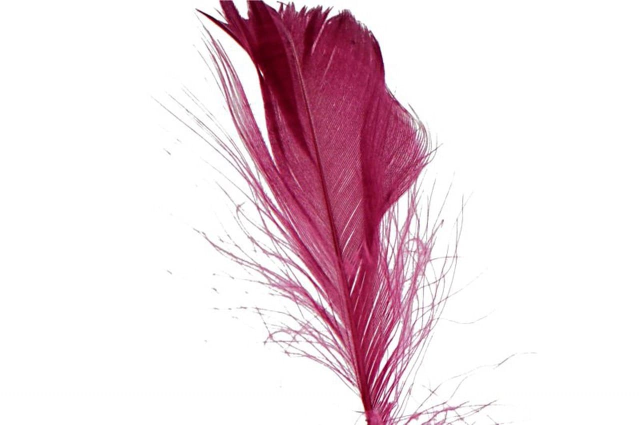 Piórka w torebce foliowej 15 gram, bordowy